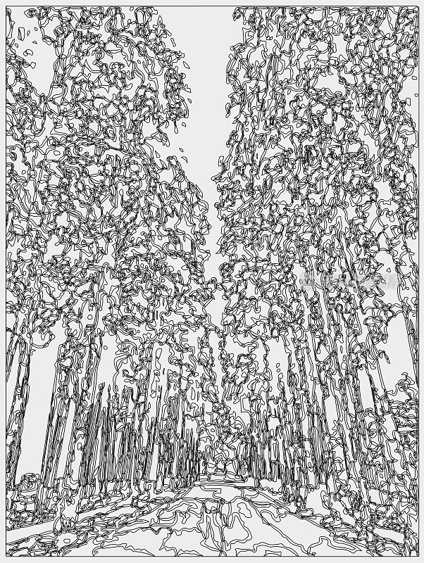 抽象线条绘画风格的街道树木景观背景