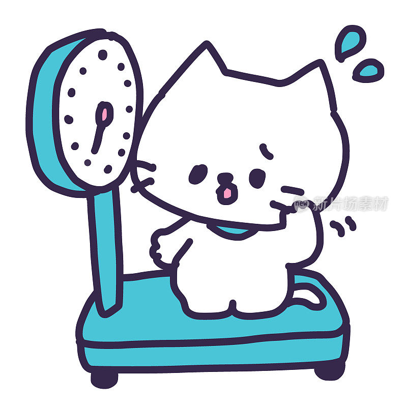 一只胖胖的可爱的白猫在体重秤上的插图