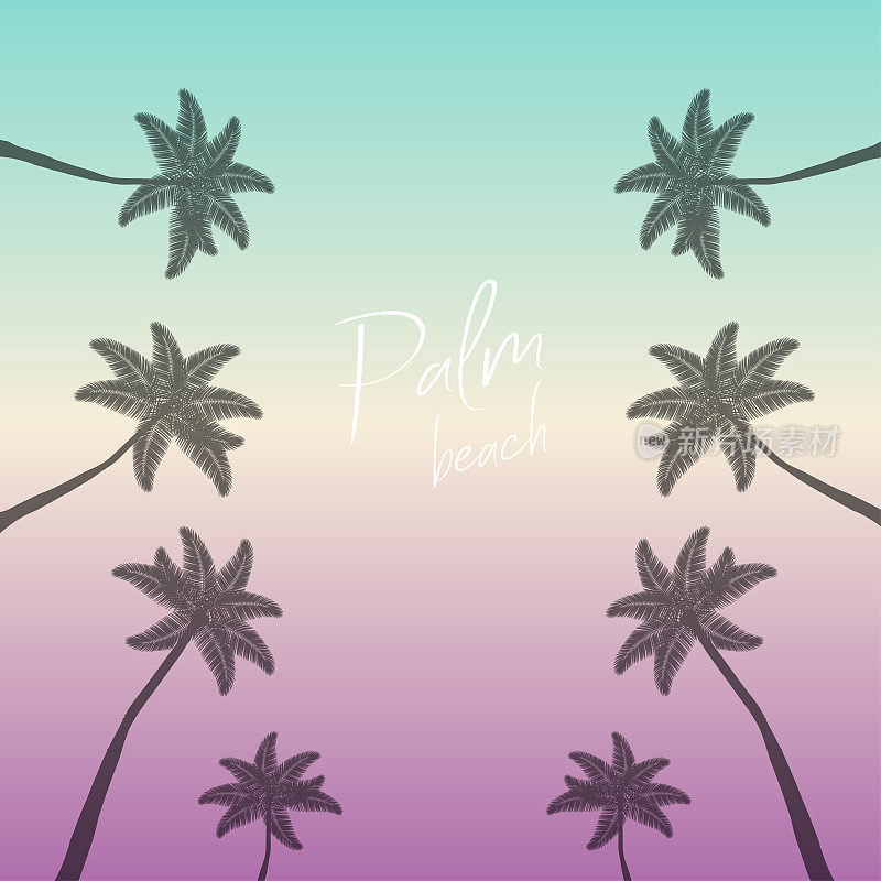 棕榈滩。手掌的背景。棕榈树与文字棕榈滩上的彩色背景