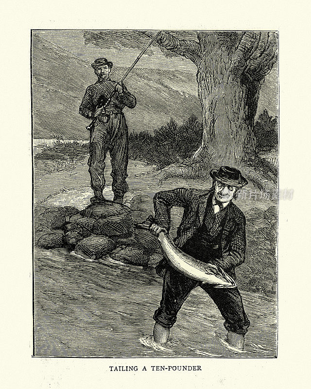 在挪威钓鲑鱼，拖着一只十磅重的鱼，维多利亚时代，19世纪