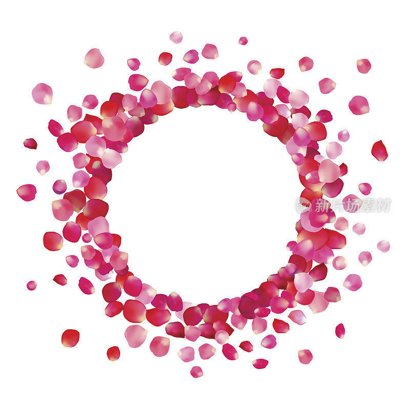 圆形框架的粉红色玫瑰花瓣