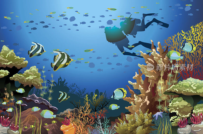 珊瑚礁和水肺潜水员。