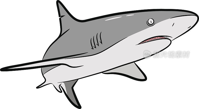 鲨鱼向量卡通