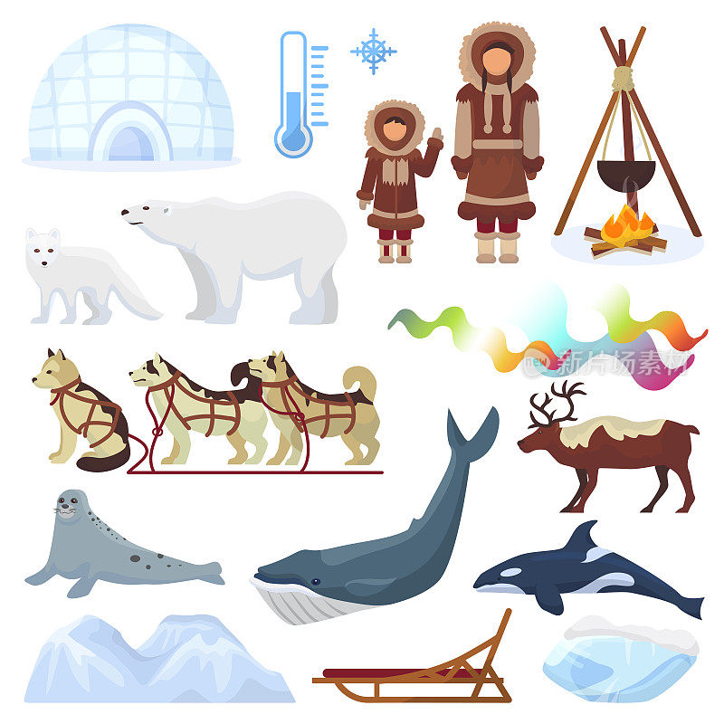 北极矢量北北方的挪威和哈士奇狗拉雪橇到尤尔塔在下雪的冬天插图北极星组北方民族人物动物和北极熊孤立在白色的背景