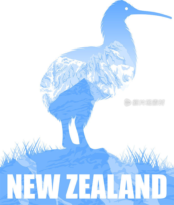 矢量新西兰插图与几维鸟
