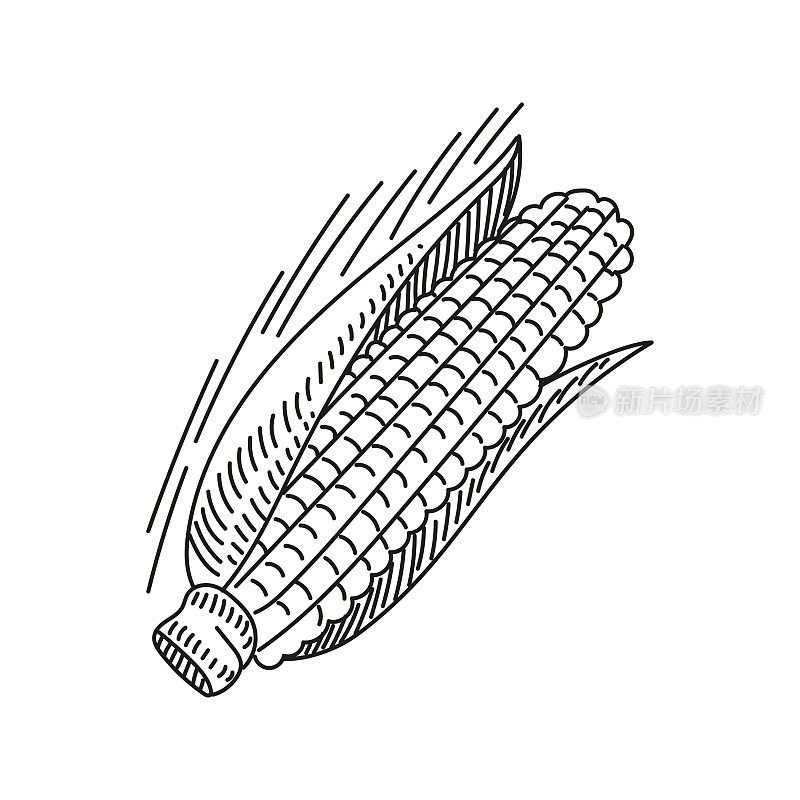 玉米手绘草图图标，矢量插图