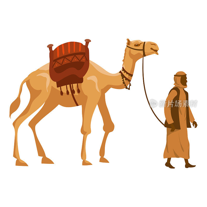 骆驼和阿拉伯人骆驼。矢量图