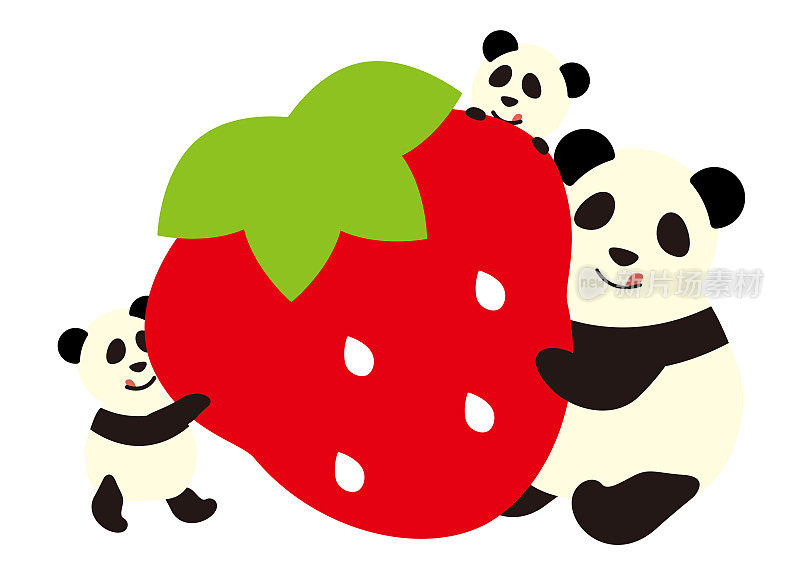 熊猫父母和孩子吃草莓