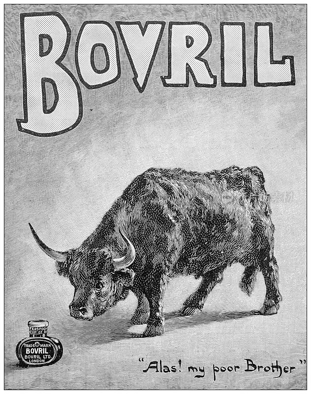 古董图片来自英国杂志:Bovril广告