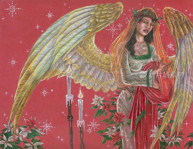 圣诞天使在连衣裙和面纱与一品红和花