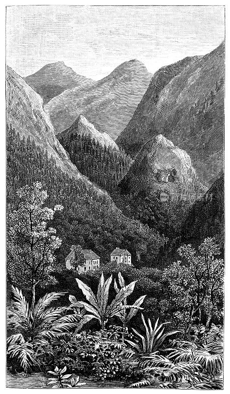 加勒比地区牙买加的蓝山――19世纪