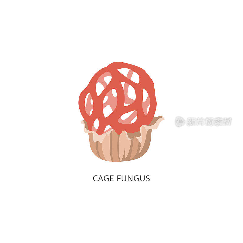 红笼菌-稀有卡通蘑菇，分离