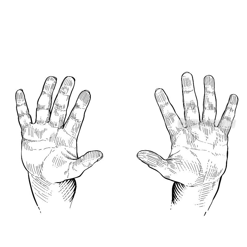 双手张开作为停车标志。手语，停顿，非语言交流。黑白矢量插图在白色背景