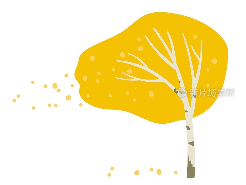 秋天的树。风高。风把桦树的黄叶吹落。黄色的树叶落在白色的背景上。秋高气爽的季节，金碧辉煌的花园，绿树成荫。树的叶子了
