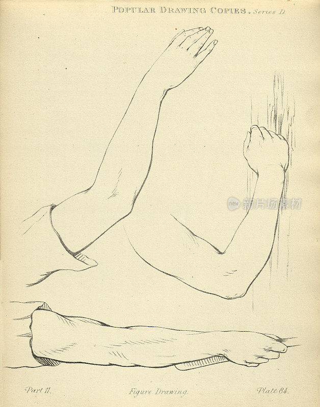 素描和绘制人的手臂和手，维多利亚艺术人物画复制了19世纪