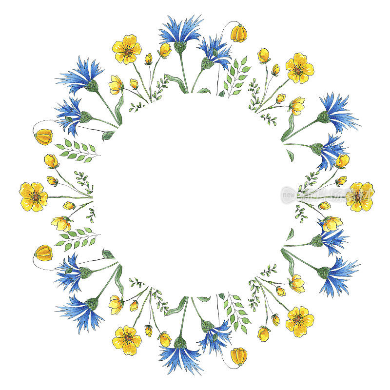 水彩框架与野花，手绘植物风格的节日和婚礼卡片。红色、黄色和蓝色花朵的边界孤立在白色背景上。鲜花和绿色植物的芬芳