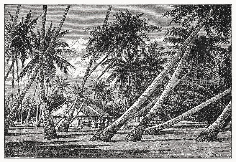 土阿莫土群岛岛，木刻，1899年出版