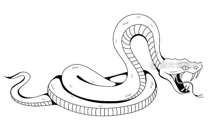 蛇。矢量插图素描纹身热带蛇