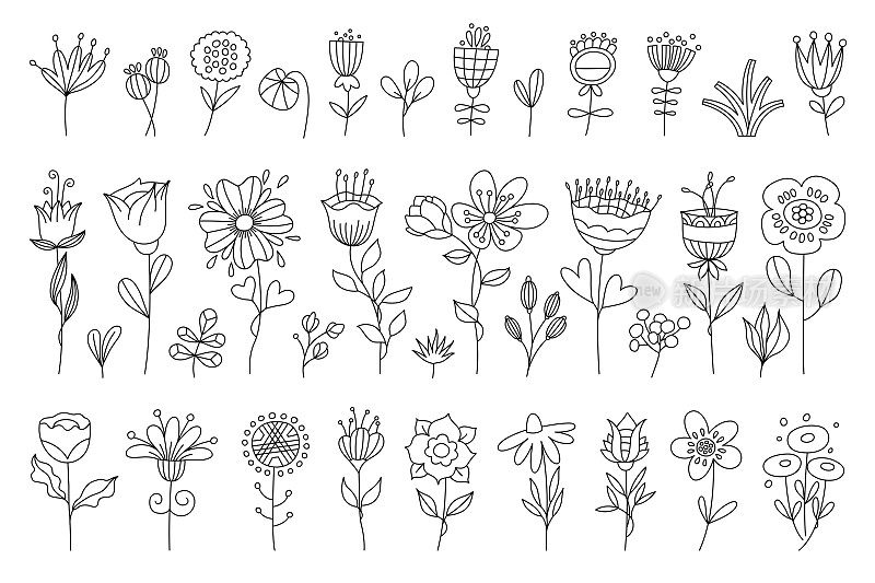 这个矢量股票插图以极简主义的细线风格绘制了一系列精致的植物和花朵。每一个描述是复杂的细节，同时保持通风，轻质量，空灵的感觉。