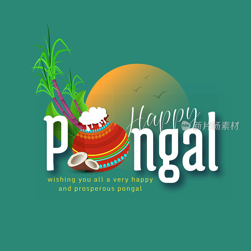 印度南部泰米尔纳德邦的Pongal节日丰收节快乐