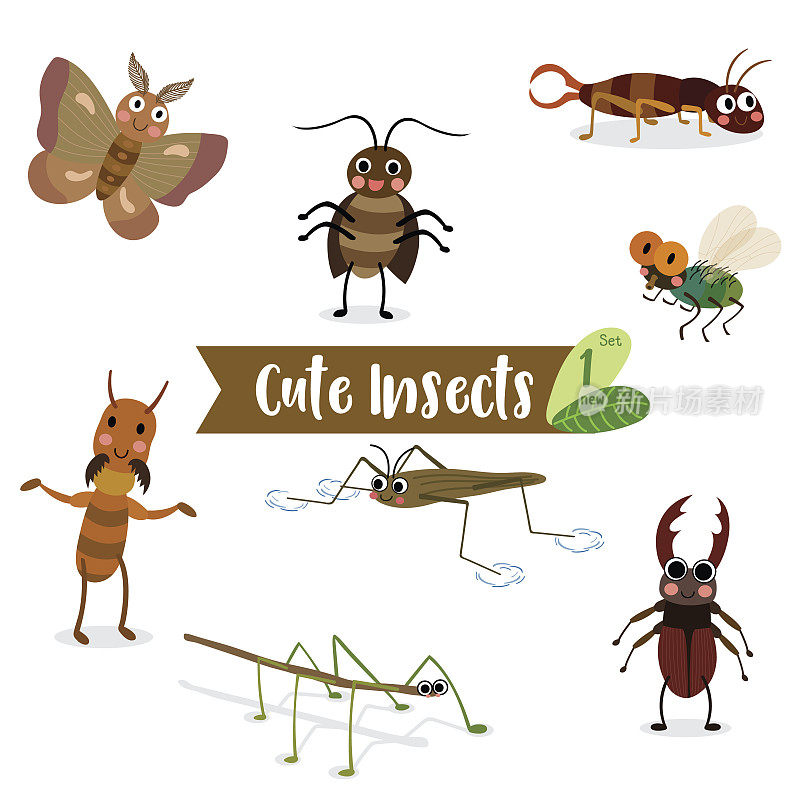 昆虫动物卡通在白色的背景。矢量插图。组1