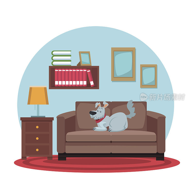 白色背景与圆形彩色场景的狗睡在沙发上