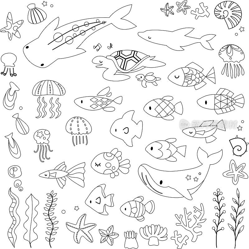 海洋动物插图(黑白)