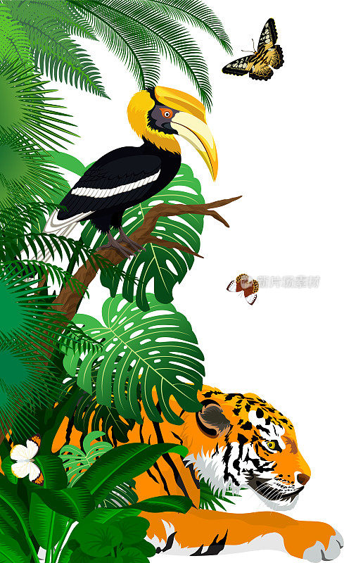 矢量丛林雨林树叶垂直边界插图与老虎，大犀鸟和蝴蝶