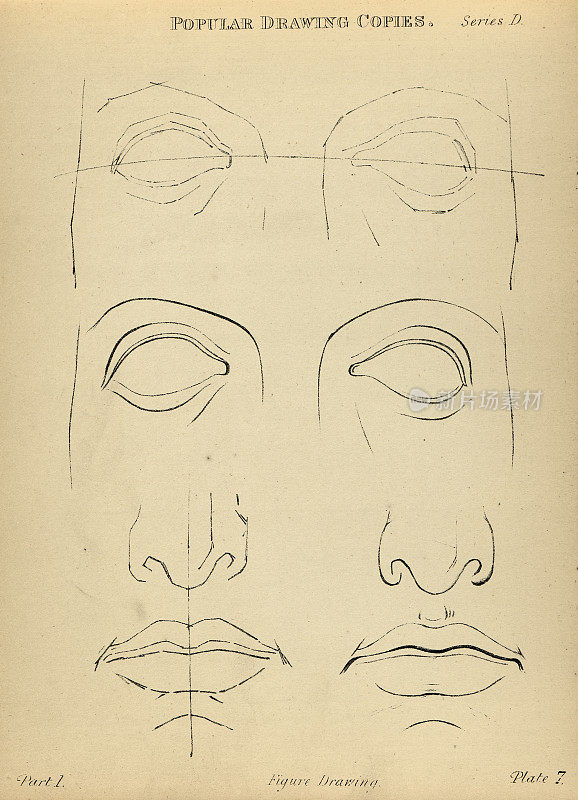 画眼睛，鼻子，嘴，嘴唇，维多利亚流行的人物素描副本