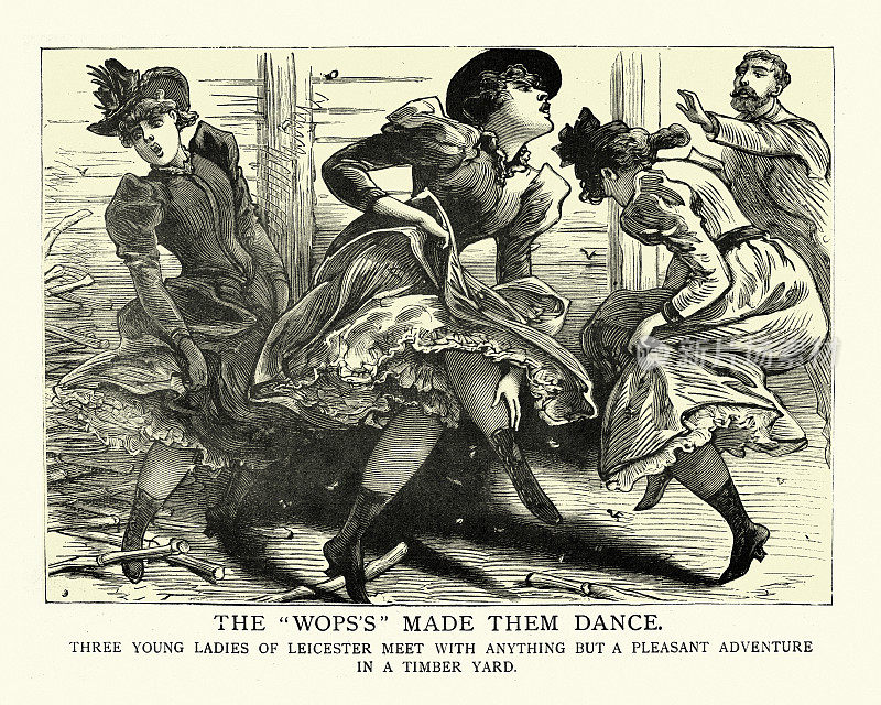 19世纪的维多利亚时代，一群年轻女子被黄蜂蜇了
