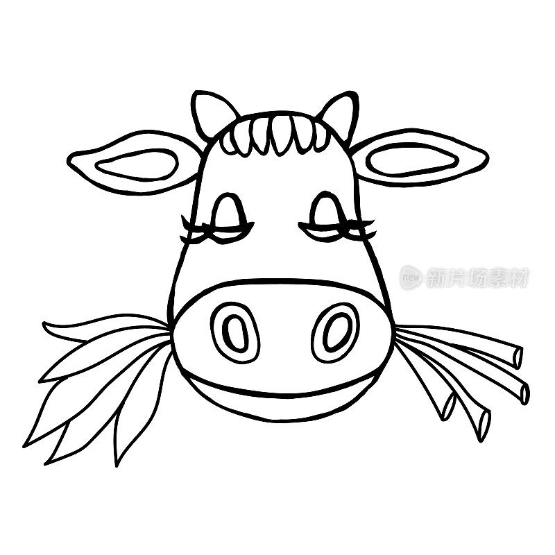 一只正在嚼草的牛的卡通动物头，孤立在白色背景上。矢量插图在涂鸦风格。可用于乳制品、纺织品的包装。