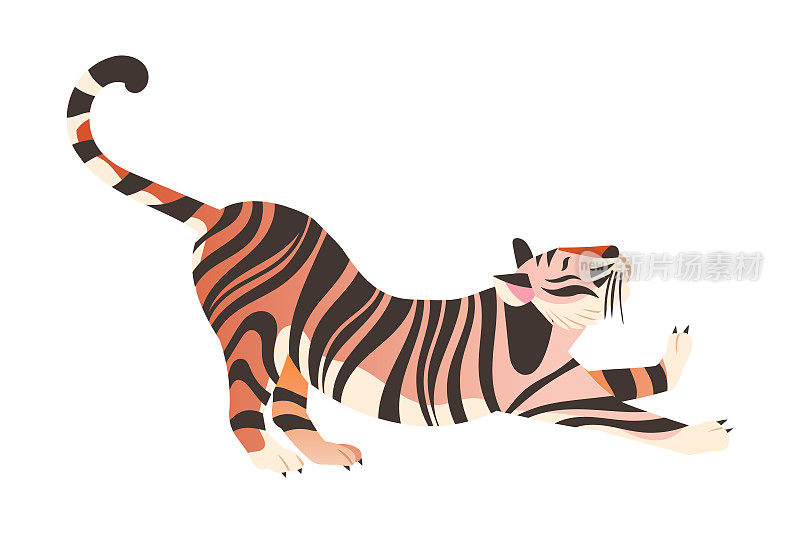 黑龙江,西伯利亚虎。优雅的大野猫矢量插图的侧视图