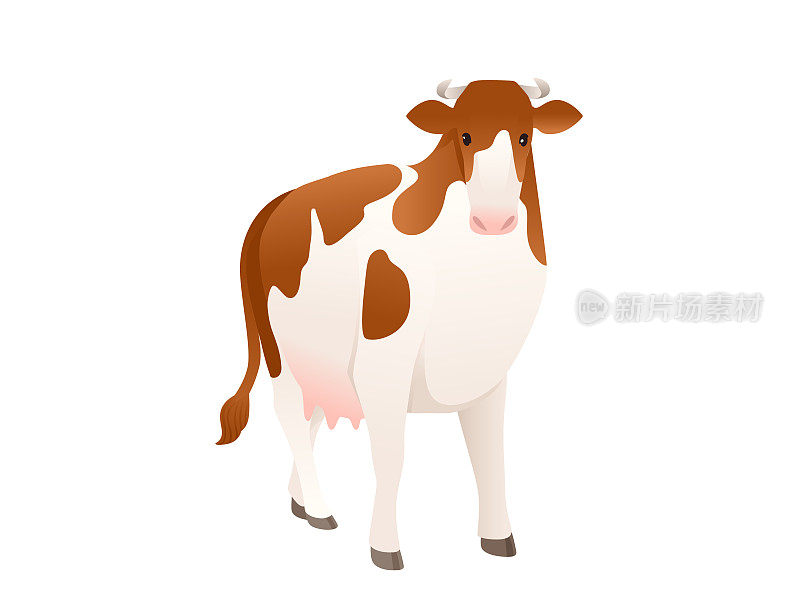 奶牛西门塔尔奶牛斑点家养哺乳动物卡通设计矢量插图在白色背景