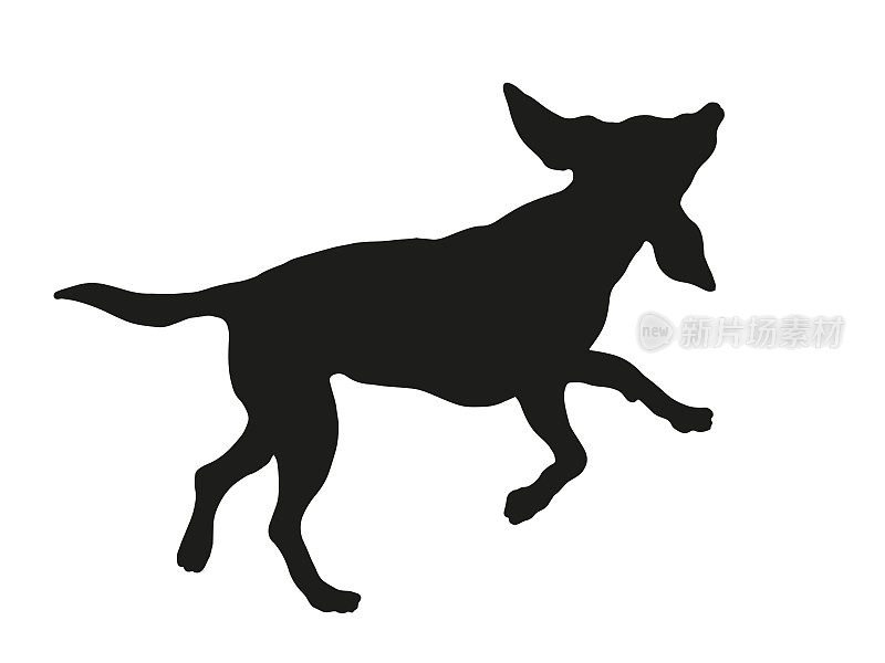 黑狗轮廓。跑跳俄罗斯猎犬。宠物的动物。孤立在白色背景上。