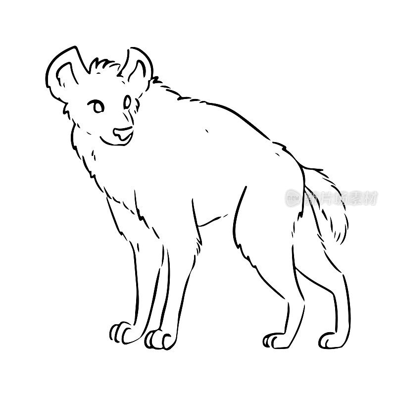 鬣狗卡通图标。野生动物轮廓漫画风格形象。手工绘制孤立的线条图像的印刷，设计，卡片。网络和移动