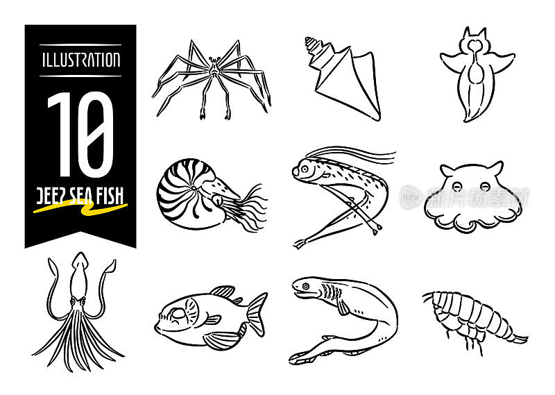 一套10手绘流行风格的图标插图与深海鱼的主题