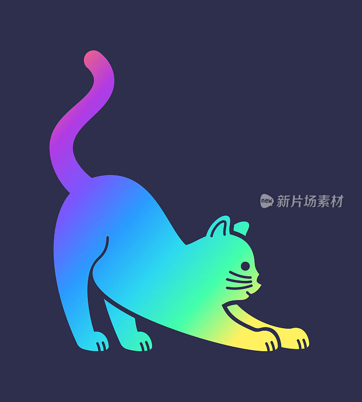 全息的猫