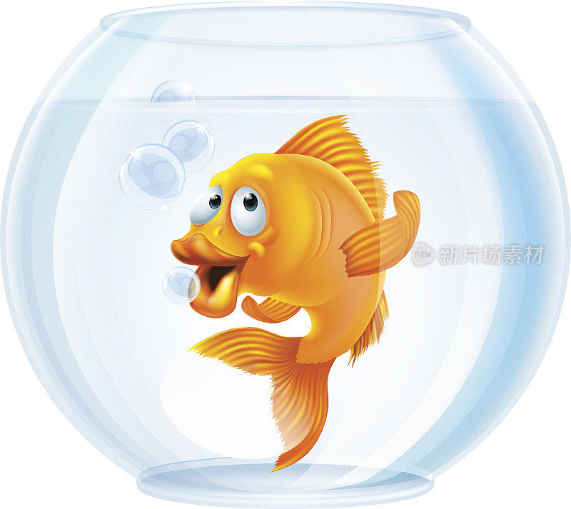 鱼缸中的卡通金鱼