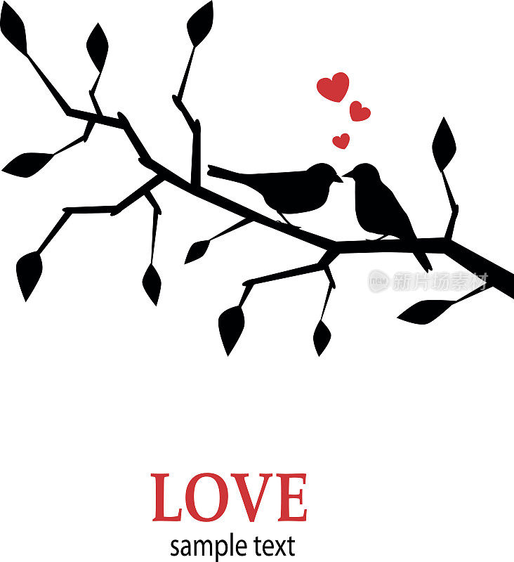 鸟儿在树枝上热恋