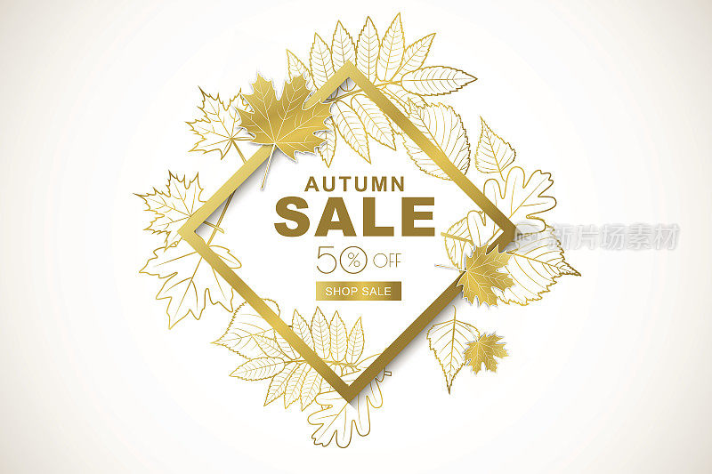 秋季销售旗帜与孤立的金色框架和金色轮廓秋天的树叶。矢量秋天海报的背景。