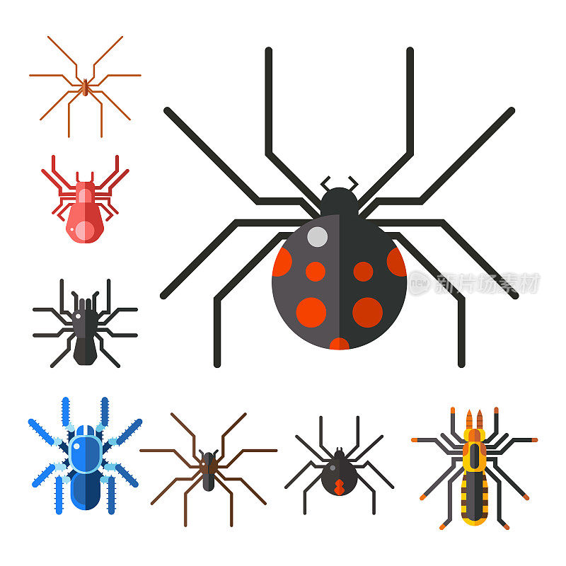 蜘蛛网剪影蜘蛛害怕图形平面可怕的动物设计自然昆虫危险恐怖万圣节矢量图标