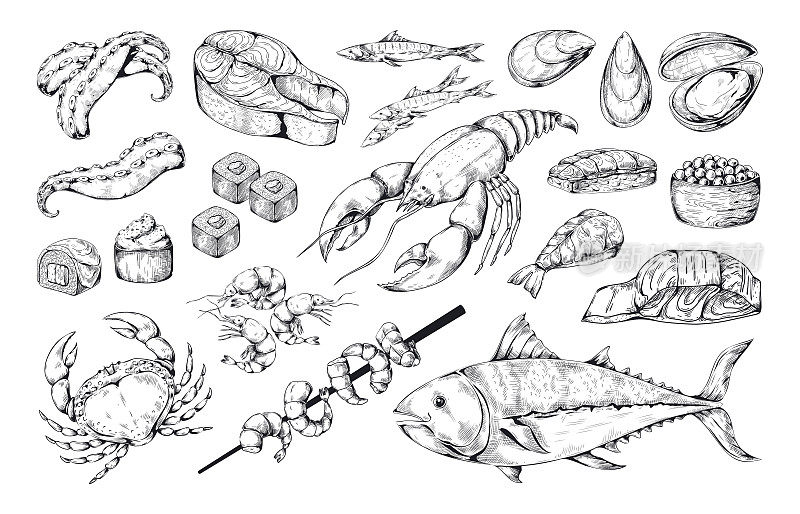 海鲜鱼类。草图的食物。日本寿司菜单上的动物海产品。龙虾和鲑鱼。厨房美食。生蚝或鱼子酱刺身。向量设计元素集