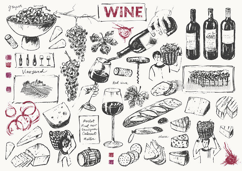 手绘葡萄酒插图集。