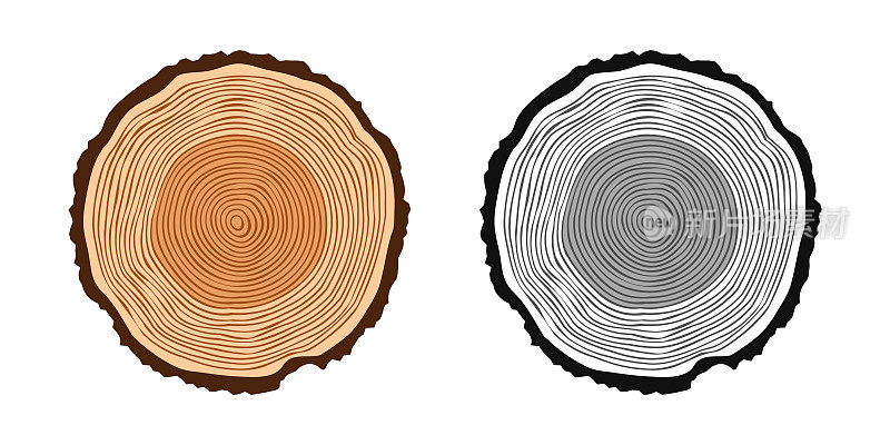 圆形树干切割成各种颜色，锯松或橡木片，木材。锯子砍木头，木头。棕色木质纹理，带有树的年轮。手绘草图。矢量图