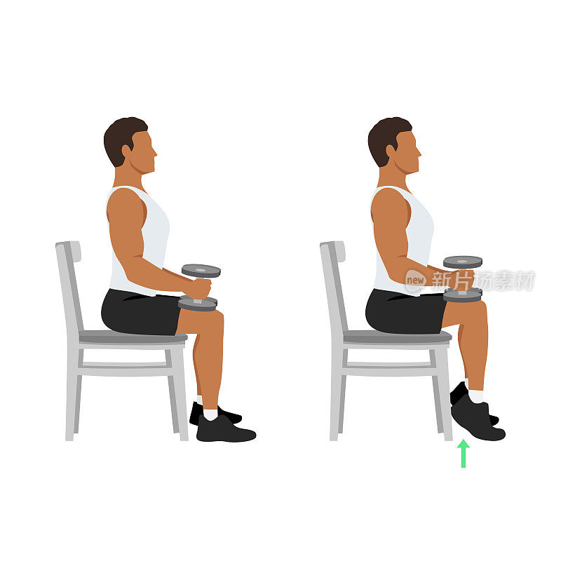 男子坐着做哑铃或椅子举小腿。保持双腿成90度角。伸展脚尖在地面上的推踵，抬起推踵。平面矢量图