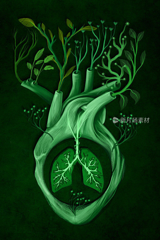 绿色的心给地球的绿色的肺更多的生命