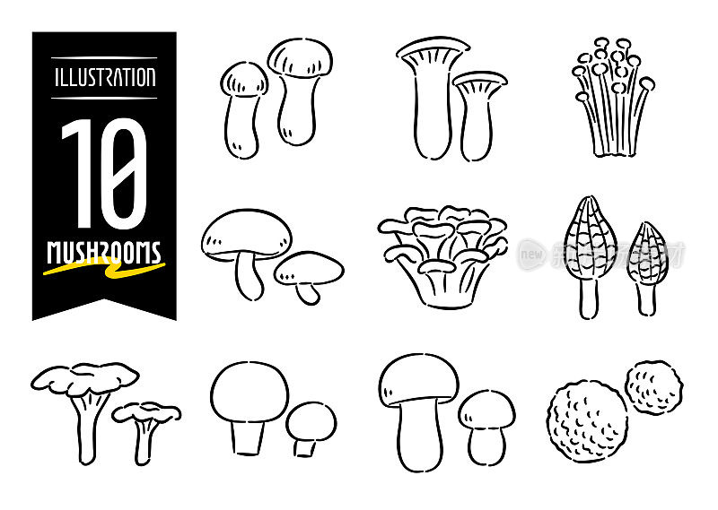 一套10手绘流行风格的图标插图与蘑菇图案