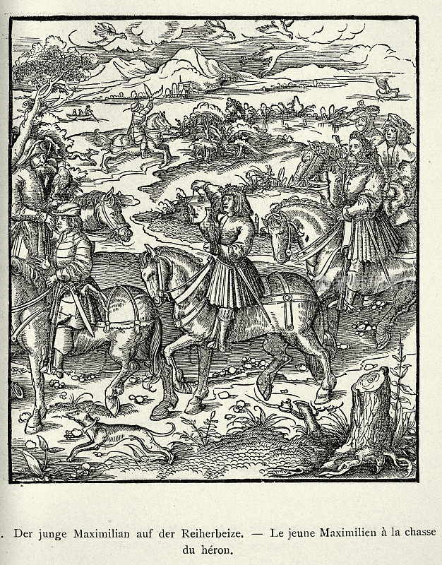 魏夫斯库尼，年轻的马克西米利安一世神圣罗马皇帝，用鹰猎鹭，猎鹰，历史15世纪