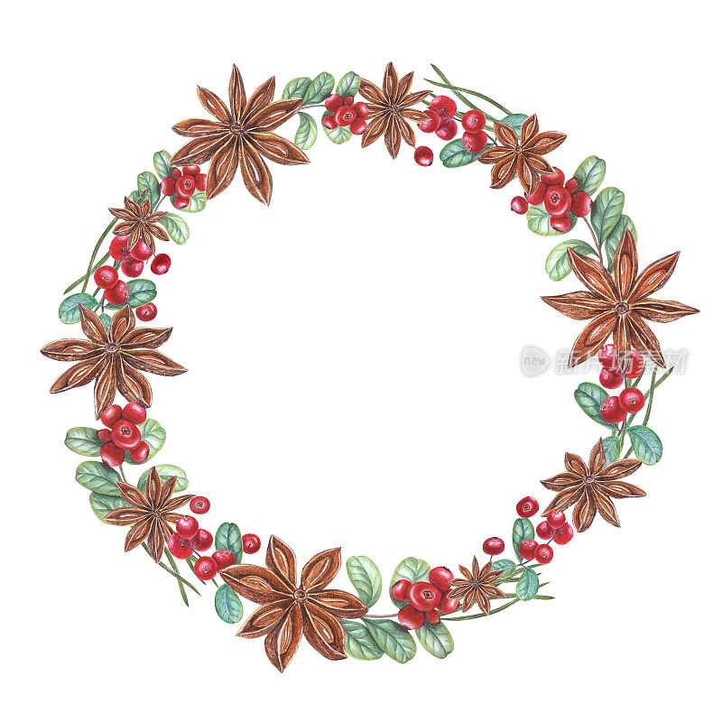 八角，蔓越莓，松针在白色背景上孤立的水彩花环。植物插图明信片设计，邀请模板，生日，婚礼，圣诞节和新年贺卡