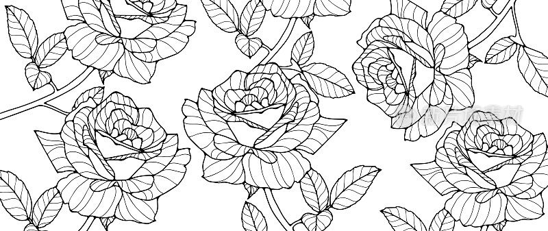 黑白花卉图片与玫瑰的着色页，装饰，背景，卡片和演示